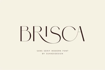 Creative Projects with Brisca Font Design